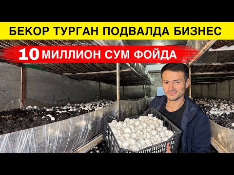 Видео: ПОДВАЛДА ОЙИГА 10 МИЛЛИОН СУМ ФОЙДА ЖНДИ ХАММА БОЙ БУЛАДИ 