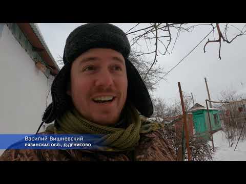 Видео: Гирлянда сала для птиц