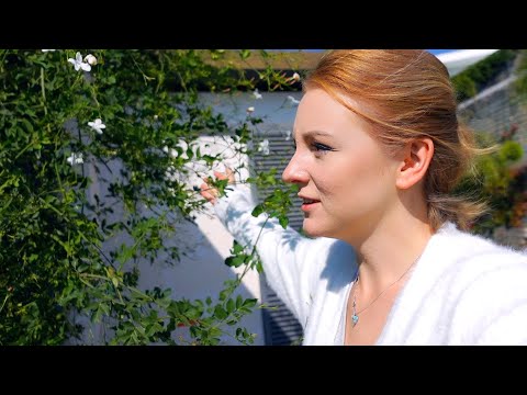 Видео: VLOG: УСПЕЛИ ПЕРЕЕХАТЬ В ДОМ! 18.10.20