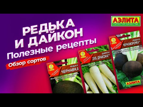 Видео: РЕДЬКА и ДАЙКОН: вкусные и полезные рецепты. Обзор сортов.