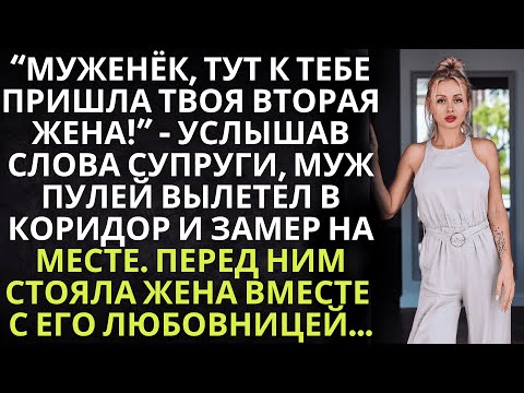 Видео: Муженёк, тут к тебе пришла твоя вторая жена - услышав слова супруги, муж вылетел в коридор и замер..