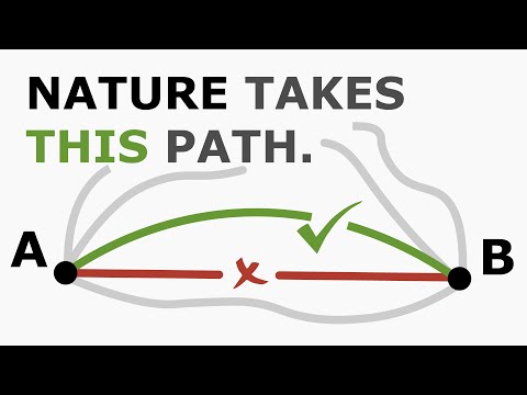 Видео: Уравнение Эйлера-Лагранжа