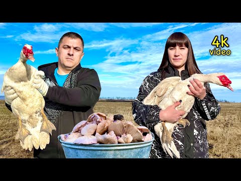 Видео: Как пожарить утку вкусно и сочно? Утка с картошкой в казане на костре. Грибы рецепт
