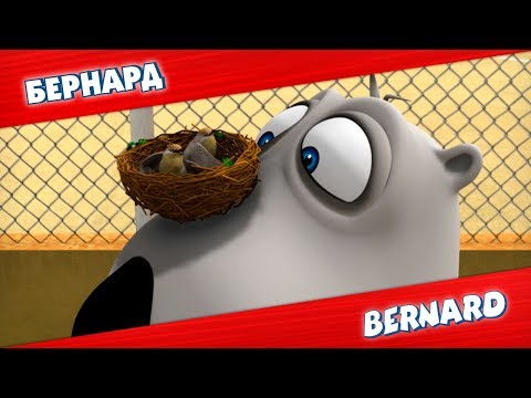 Видео: БЕРНАРД: Мини-футбол и многое другое | Подборка серий