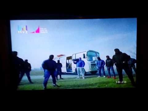 Видео: Лёд тает даже в телевизоре!!  Грибы- тает лёд показали на муз тв