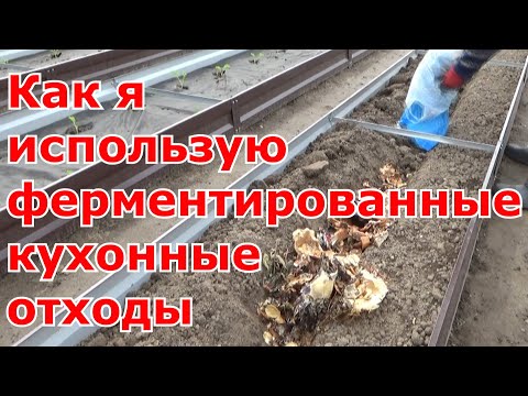 Видео: Суперудобрение из отходов. Как использовать ферментированные кухонные отходы и ЭМ-жидкость в огороде