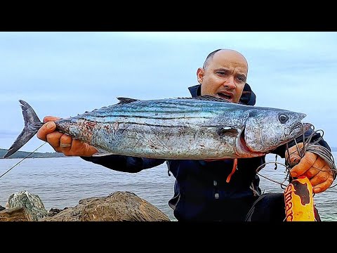 Видео: Паламуди Луди ДЕН 3: ТУРУК! Запали Аванса!