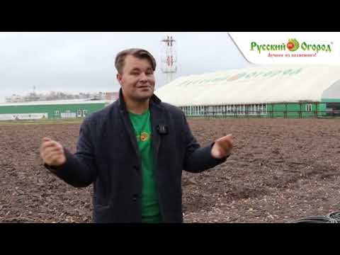 Видео: Севооборот и планирование посадок на будущий год