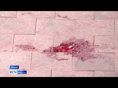 Видео: По факту гибели ребёнка, выпавшего из окна 15-го этажа в Абакане, возбуждено уголовное дело