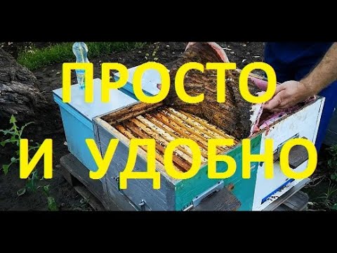 Видео: Сетка для сбора прополиса, проверяем!