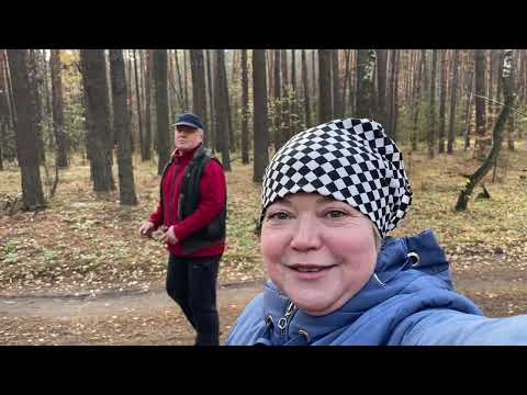 Видео: Светлана на тихой охоте,на это можно смотреть вечно! Она всегда с грибами 🍄‍🟫, теперь и я буду рядом