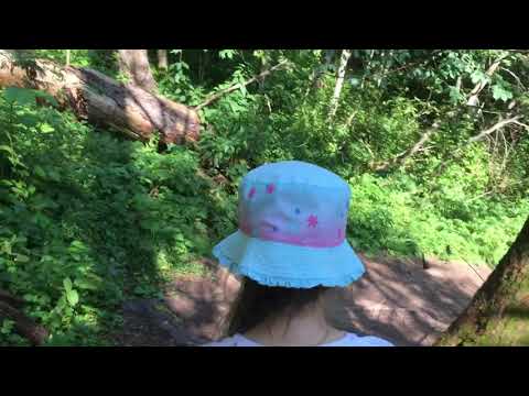 Видео: Мшинская. Где купаться? Река Ящера