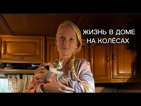 Видео: Жизнь в доме на колёсах: Мои Заказы в Лес, Котята и минимум 6 км Пешком Ежедневно. 11 серия