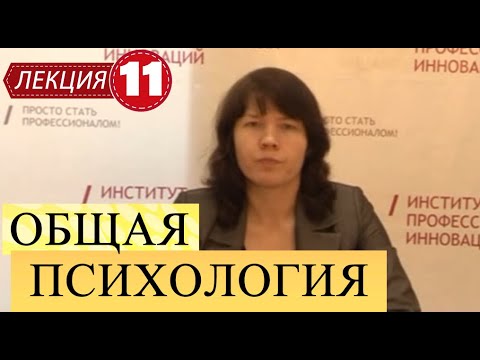 Видео: Общая психология. Лекция 11. Память и мышление.