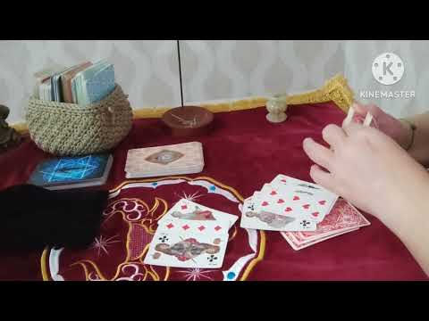 Видео: Крестовый король. За кого переживает? Его страхи?