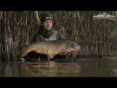 Видео: Как найти карпа на любом водоёме? Лайфхак от...