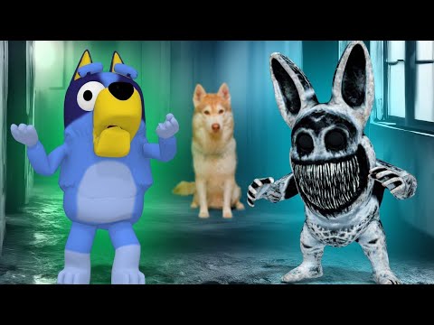 Видео: БЛУИ ЭТО ЗООНОМАЛЬ ! КРОЛИК ИЗ ЗООПАРКА МОНСТРОВ! (Хаски Бублик) Говорящая собака