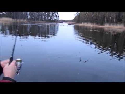 Видео: Трофейная рыбалка. Щука 9 килограммов на свимбейт Izumi Shad Alive.