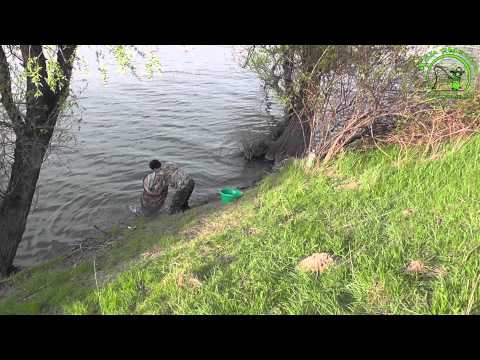 Видео: Рыбалка на водоёме Гура Быкулуй