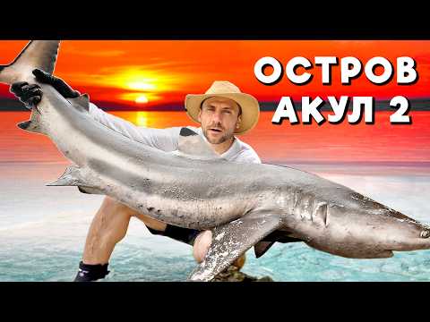 Видео: ОСТРОВ АКУЛ 2. Выживание на необитаемом острове [СБОРНИК]