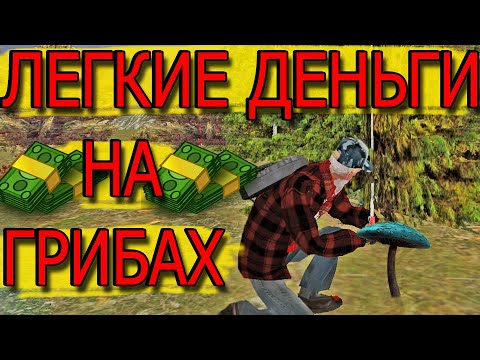Видео: ЛЕГКИЕ БЫСТРЫЕ ДЕНЬГИ НА ГРИБАХ\МТА ПРОВИНЦИЯ
