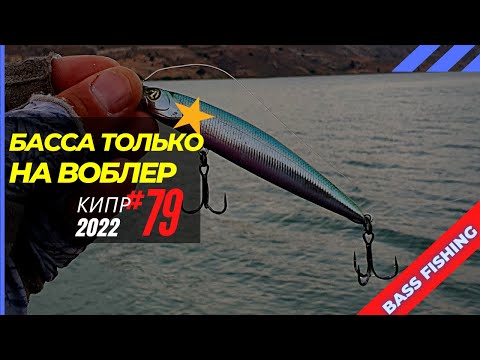 Видео: Ловлю басса только на воблер! 🔥 Рыбалка на Кипре 🇨🇾 Часть 79 Сезон 2022