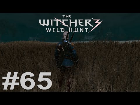 Видео: Ведьмак 3: Дикая Охота Прохождение #65, Пропавший брат и Бестия из Оксенфуртской чащи