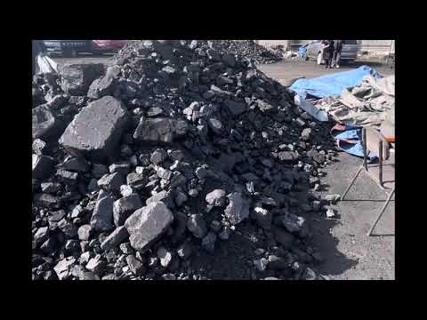 Видео: Көмүр баалары/ Каракол шаары/ 20-октябрь #көмүркаракол