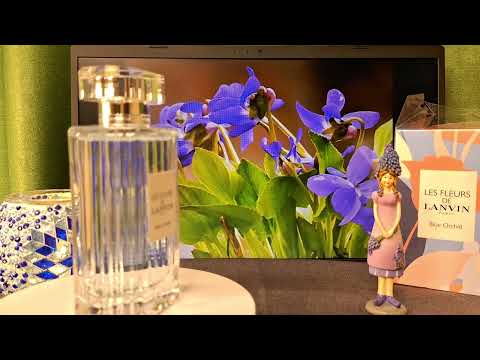 Видео: Blue Orchid #lanvin #lesfleursdelanvin #голубаяорхидея #edt #ланвин #парфюмерия @ZhanetaSypryneta 