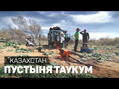 Видео: Пустыня Таукум. От трассы Алматы-Караганда, по пескам к реке Или.