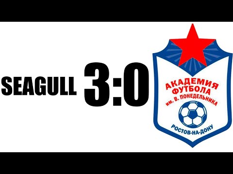 Видео: FC SEAGULL 3:0 Академия