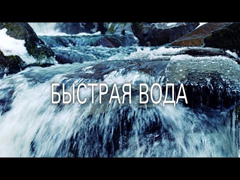 Видео: Величко М. В.: что такое воля человека и как из детей делают биороботов.