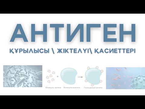 Видео: АНТИГЕНДЕР - құрылысы, жіктелуі, қасиеттері