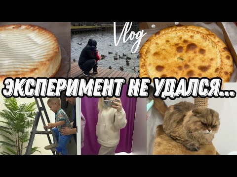 Видео: VLOG: Все ОТМЕНИЛОСЬ/Творожный ЧИЗКЕЙК/Покупки/Тяжелый ВЫБОР
