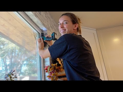 Видео: Сюрприз для Эбби!