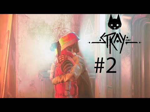 Видео: STRAY | ВОССОЕДИНЕНИЕ