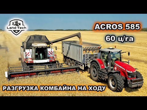 Видео: ПРАВИЛЬНАЯ УБОРКА УРОЖАЯ: комбайны ACROS 585 и 550 выгружаются на ходу! Озимая пшеница 60 ц/га!