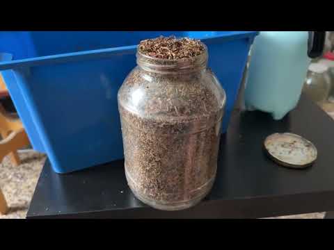 Видео: Табак-ферментация 