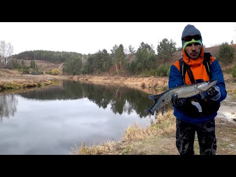 Видео: АРАМИЛЬ! За что его любят?