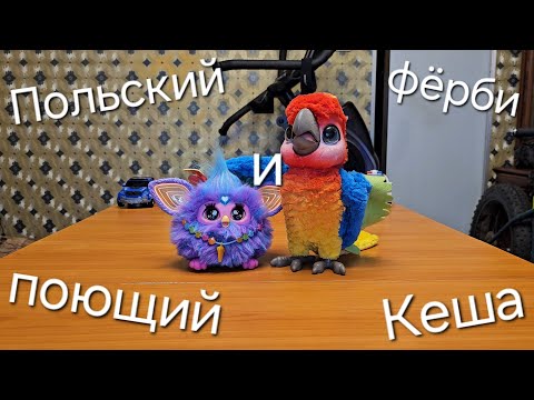 Видео: Польский фёрби и поющий Кеша