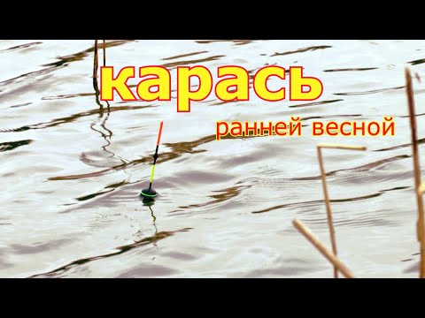 Видео: Ловля карася на поплавочную удочку ранней весной. Рыбалка на карася в марте