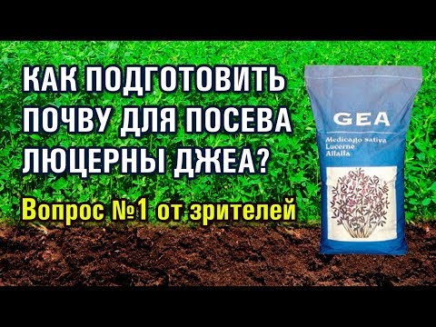 Видео: КАК ПОДГОТОВИТЬ ПОЧВУ ДЛЯ ПОСЕВА ЛЮЦЕРНЫ GEA? / Вопрос-1 (25-07-2019)