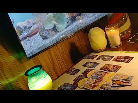 Видео: Лео 🧡🎁Глубокая сенсационная доброта, которую они никогда раньше не чувствовали 🩵🥰Возвращается нес...