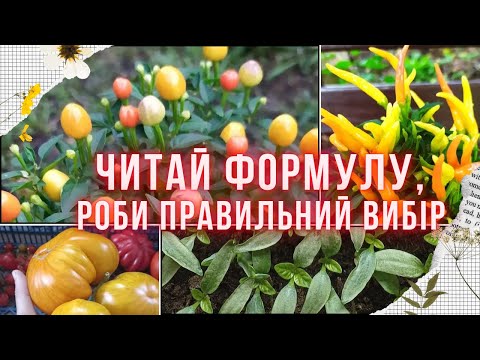 Видео: ПРО ДОБРИВА простими словами. Чим підживити розсаду, коли, які добрива краще. Формула добрива, що це