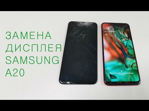 Видео: Раборка и замена дисплея Samsung A20 display replacement A205