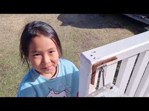 Видео: Саһаан үлэтэ