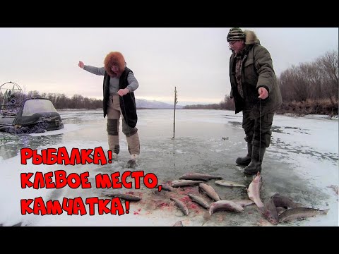 Видео: Рыбалка  Клевое место Камчатка!