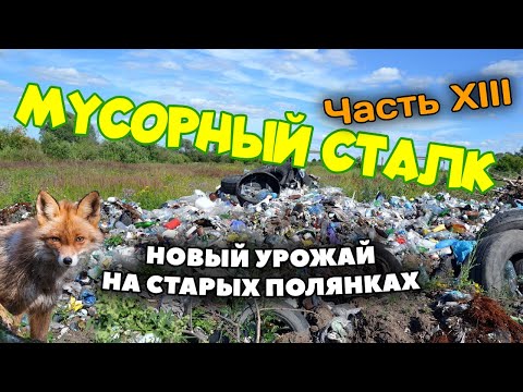 Видео: Мусорный сталк (класс физики на свалке, электроника и другие находки). Часть XIII.