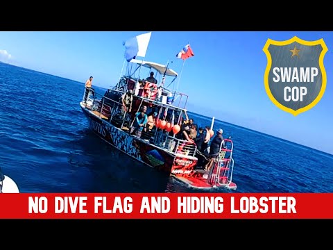 Видео: Переполненный дайв-бот подвергся многочисленным нарушениям