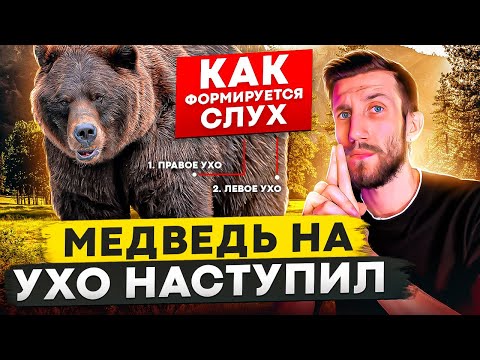 Видео: МЕДВЕДЬ НА УХО НАСТУПИЛ | Как формируется АБСОЛЮТНЫЙ СЛУХ